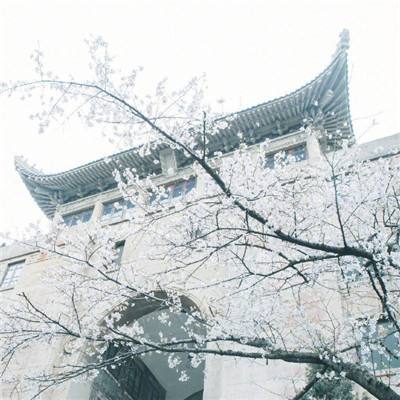 北京青年交响乐团成立8月将登台卡内基音乐厅